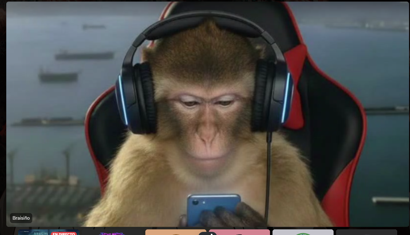 Captura de pantalla 2026-03-17 230714.png